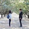 mewahbet daftar viabola link Sebuah arboretum akan dibuka di pusat kota Seoul